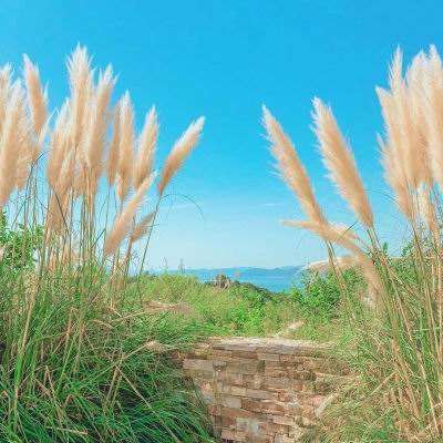 金年会·体育APP