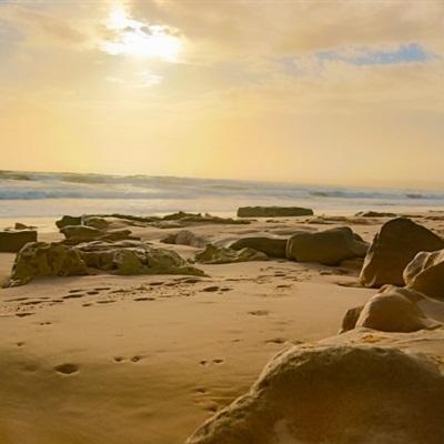 澳门4949资料免费大全