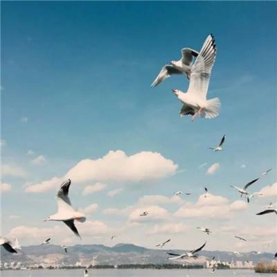 星空下载站官网下载手机版